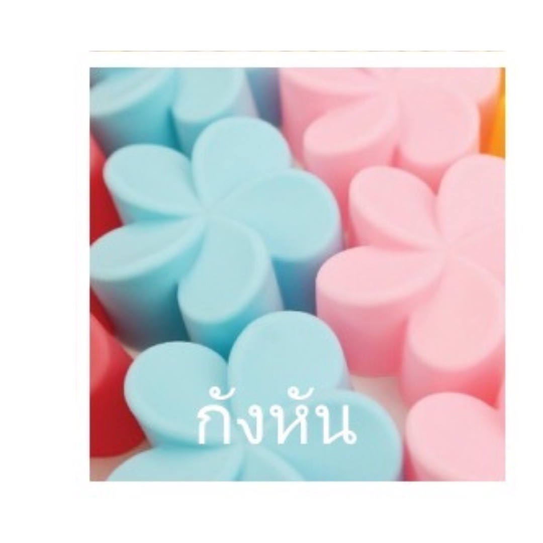 Thai-Kitchen Silikonform Ø 5 cm Blumen- & Blättermuster (12er Pack) / พิมพ์ซิลิโคน 5 ซม. ลายดอกไม้และใบไม้ (1 โหล)