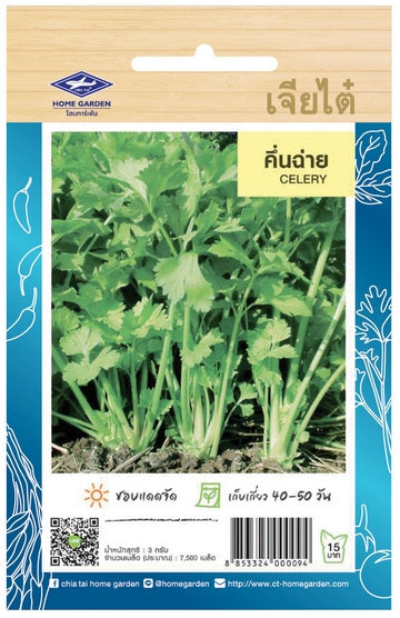Chia Tai Chinesischer Sellerie (Celery) Samen - Apium graveolens/ เจียไต๋ เมล็ดพันธุ์คื่นฉ่าย