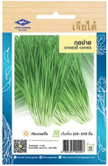 Chia Tai Schnittknoblauch Samen (Garlic Chives/Chinese Chives) Samen -Allium tuberosum / เจียไต๋ เมล็ดพันธุ์ผักกุยช่าย