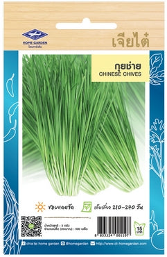 Chia Tai Schnittknoblauch Samen (Garlic Chives/Chinese Chives) Samen -Allium tuberosum / เจียไต๋ เมล็ดพันธุ์ผักกุยช่าย