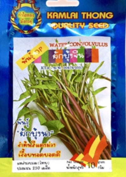 Double Dragon Wilder Wasserspinat Samen - Ipomoea aquatica/ กำไลทองมังกรคู่ เมล็ดพันธุ์ผักบุ้งนา
