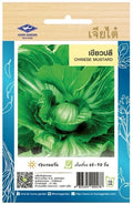 Chia Tai Breitblättriger Senf Samen - Brassica juncea/ เมล็ดพันธุ์ผักกาดเขียวปลี