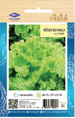 Chia Tai Blattsalat Samen - Lactuca sativa  / เมล็ดพันธุ์ผักกาดหอม