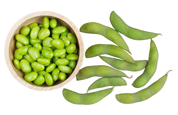 Thai Premium Edamame (Sojabohnen) Samen -Glycine max (เมล็ดพันธุ์ถั่วแระญี่ปุ่น)