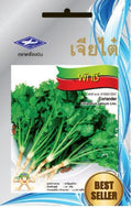 Chia Tai Koriander Samen - Coriandrum sativum/ เมล็ดพันธุ์ผักชี