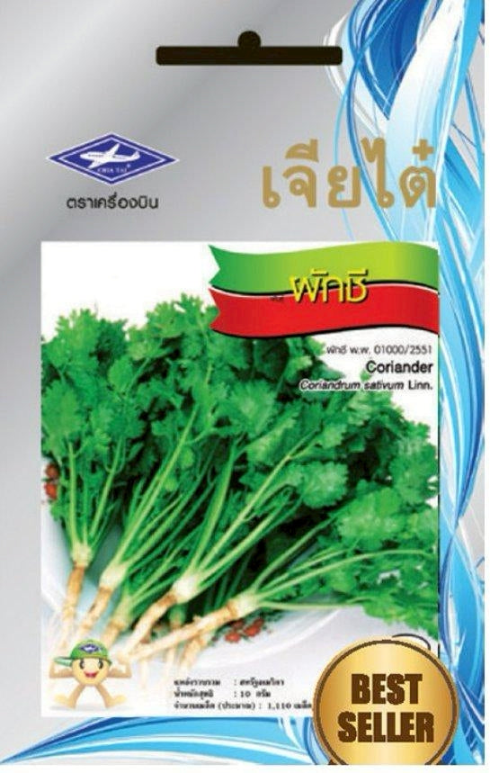 Chia Tai Koriander Samen - Coriandrum sativum/ เมล็ดพันธุ์ผักชี