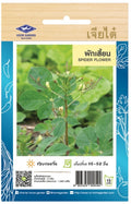 Chia Tai Spinnenpflanze (Phak Sian/Spider Flower)  Samen - Cleome gynandra  (เจียไต๋ เมล็ดพันธุ์ผักเสี้ยน)