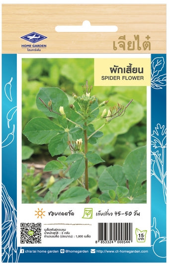 Chia Tai Spinnenpflanze (Phak Sian/Spider Flower)  Samen - Cleome gynandra  (เจียไต๋ เมล็ดพันธุ์ผักเสี้ยน)
