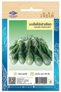 Chia Tai Thailändische kleine grüne Aubergine Samen - Solanum melongena / เมล็ดพันธุ์มะเขือไข่เต่าเขียว