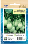 Chia Tai Thai-Aubergine (Eggplant) Samen - Solanum melongena  (เจียไต๋ เมล็ดพันธุ์มะเขือเปราะ ซุปเปอร์ตอแหล 01)