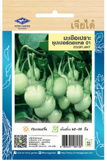 Chia Tai Thai-Aubergine (Eggplant) Samen - Solanum melongena  (เจียไต๋ เมล็ดพันธุ์มะเขือเปราะ ซุปเปอร์ตอแหล 01)