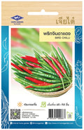 Chia Tai Rote Jinda Chili Samen (Bird Chilli) Samen - Capsicum annuum / เจียไต๋ เมล็ดพันธุ์พริกจินดาแดง