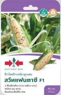 Sweet Fantasy F1 -Mais Samen  (สวีทแฟนตาซี 3 สีในฝักเดียว เมล็ดพันธุ์ข้าวโพดข้าวเหนียวหวาน)
