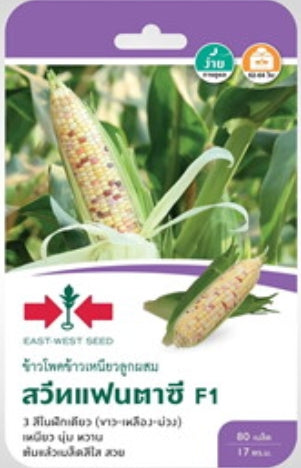 Sweet Fantasy F1 -Mais Samen  (สวีทแฟนตาซี 3 สีในฝักเดียว เมล็ดพันธุ์ข้าวโพดข้าวเหนียวหวาน)
