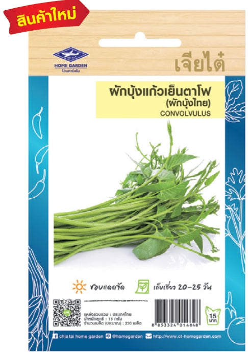 Chia Tai Thai-Wasserspinat (Convolvalus) Samen - Ipomoea aquatica / เจียไต๋ เมล็ดพันธุ์ผักบุ้งแก้ว (ผักบุ้งไทย)
