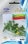 Chia Tai Thai-Kürbis (Triebspitzen/Pumpkin) Samen - Cucurbita moschata (เจียไต๋ เมล็ดพันธุ์ฟักทองทอดยอด)