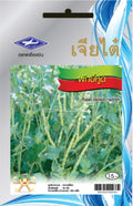 Chia Tai Rattenschwanzrettich  Samen - Raphanus sativus var. caudatus/ เมล็ดพันธุ์ผักขี้หูด