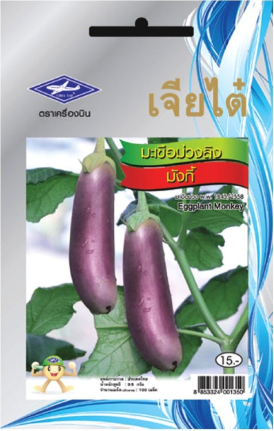 Chia Tai Violette Thai-Aubergine (Eggplant Monkey) Samen -  Solanum melongena/ เจียไต๋ เมล็ดพันธุ์มะเขือม่วงลิง