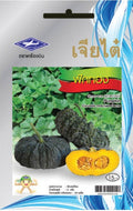 Chia Tai Kürbis Samen - Cucurbita moschata/ เมล็ดพันธุ์ฟักทอง