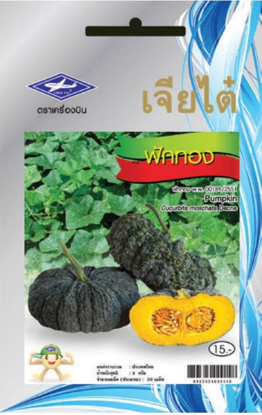 Chia Tai Kürbis Samen - Cucurbita moschata/ เมล็ดพันธุ์ฟักทอง