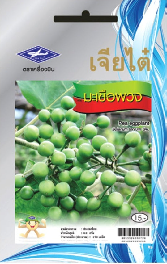 Chia Tai Turkey Berry (Pea eggplant) Samen -Solanum torvum / เจียไต๋ เมล็ดมะเขือพวง