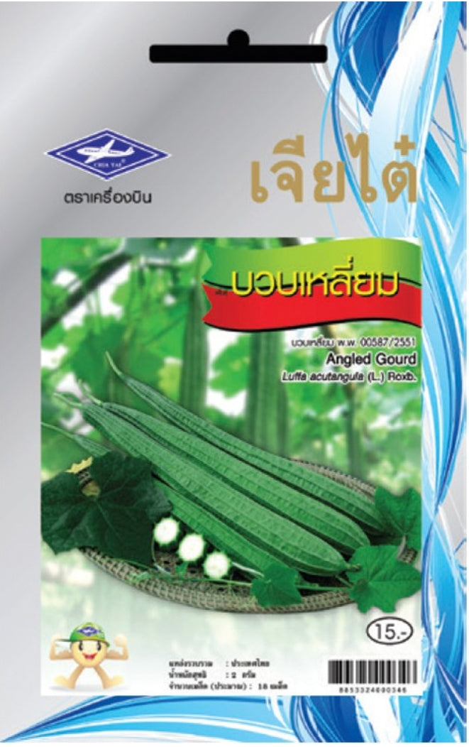 Chia Tai Kantengurke (Luffa/Angled Gourd) Samen -Luffa acutangula/ เจียไต๋ เมล็ดพันธุ์บวบเหลี่ยม