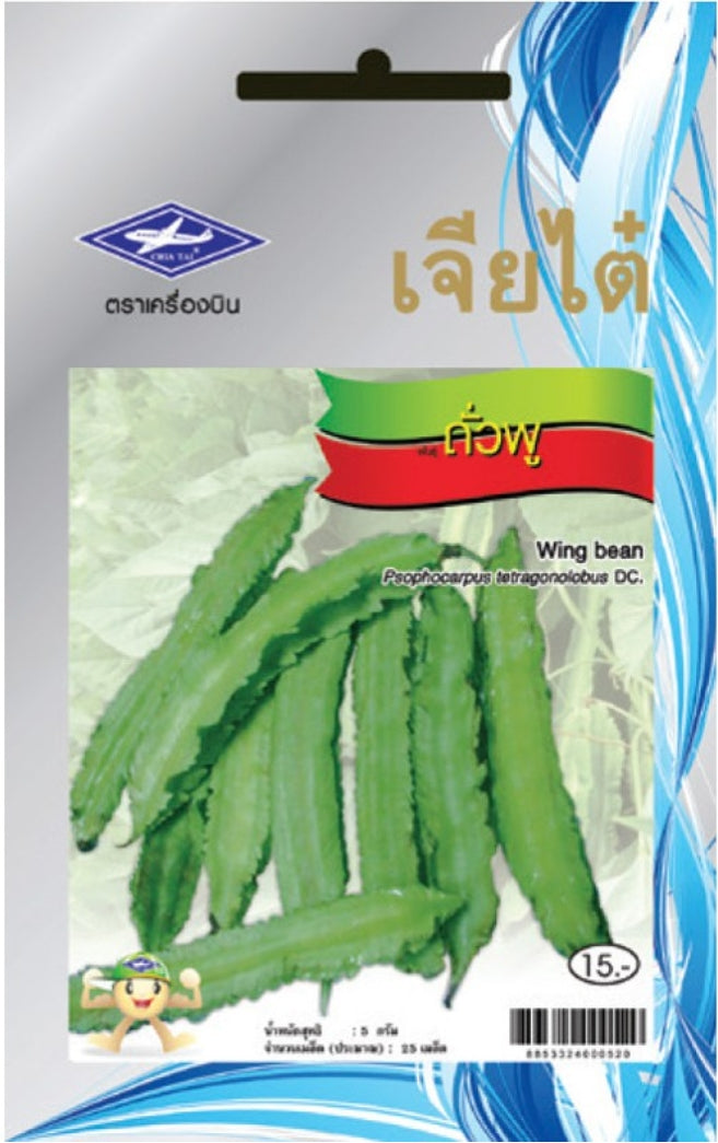 Chia Tai Flügelbohnen Samen (Wing bean) Samen - Psophocarpus tetragonolobus/ เจียไต๋ เมล็ดพันธุ์ถั่วพู