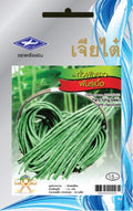 Chia Tai Spargelbohne Samen - Vigna unguiculata / เมล็ดพันธุ์ถั่วฝักยาวพันธุ์เนื้อ