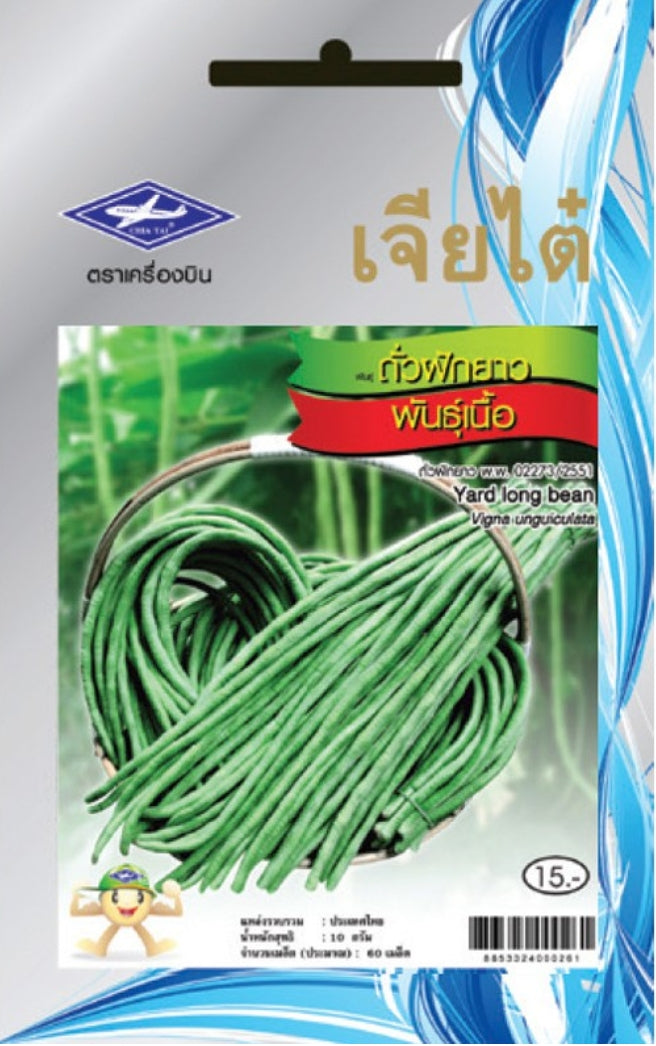 Chia Tai Spargelbohne Samen - Vigna unguiculata / เมล็ดพันธุ์ถั่วฝักยาวพันธุ์เนื้อ