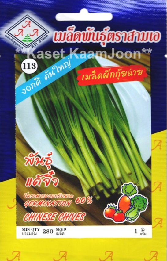 AAA Schnittknoblauch Samen (Teochew-Sorte) Samen - Allium tuberosum/ สามเอ เมล็ดพันธุ์ผักกุยช่าย (พันธุ์แต้จิ๋ว)
