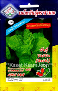 AAA Thailändische Minze Samen - Mentha cordifolia / เมล็ดพันธุ์สาระแหน่ไทยใบหอม