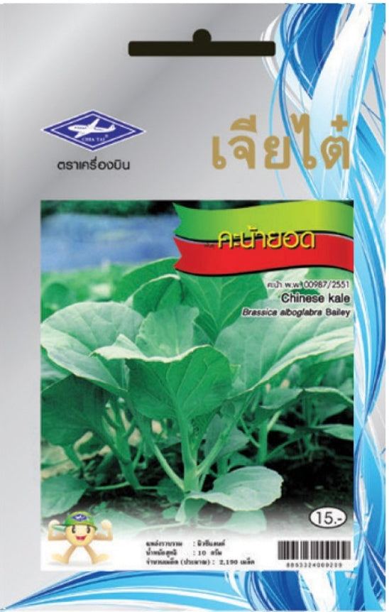 Chia Tai Kai-lan (Chinesischer Brokkoli/Chinese kale) Samen - Brassica oleracea / เจียไต๋ เมล็ดพันธุ์คะน้ายอด