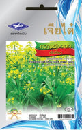 Chia Tai Choy Sum (Blühender Kohl/Flowering pak choy (Dark green type)) Samen - Brassica rapa var. parachinensis/ เจียไต๋ เมล็ดพันธุ์ผักกวางตุ้งดอกต้นเขียว