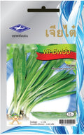 Chia Tai Mexikanischer Koriander (Culantro/Parsley) Samen - Eryngium foetidum / เจียไต๋ เมล็ดพันธุ์ผักชีฝรั่ง