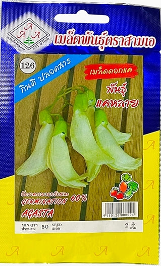 AAA Weißer Agasta-Baum (Dok Kae) Samen -Sesbania grandiflora  (สามเอ เมล็ดพันธุ์ดอกแค)