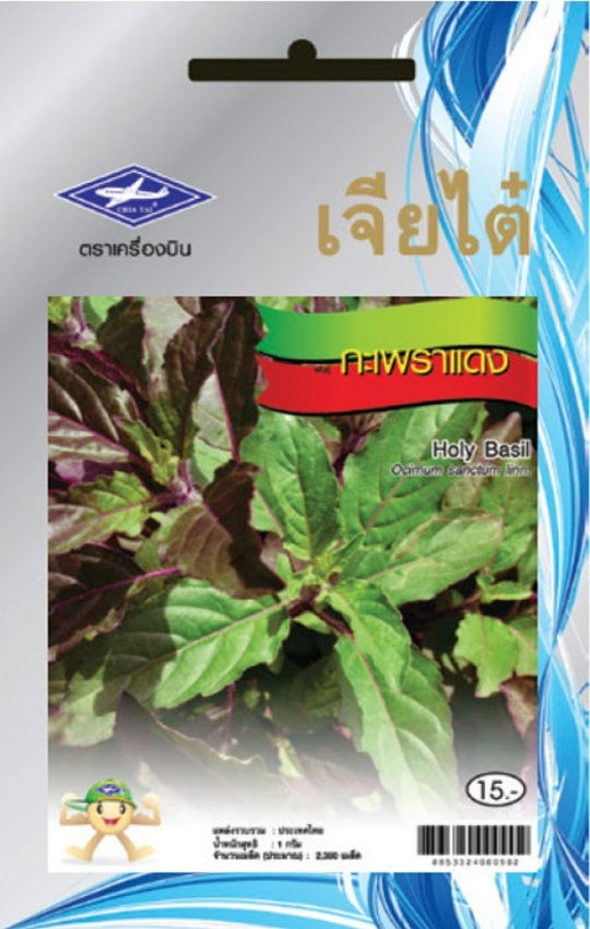 Chia Tai Rotes Basilikum (Krapao Daeng/Holy Basil) Samen - Ocimum tenuiflorum/ เจียไต๋ เมล็ดพันธุ์ผักกะเพราแดง