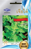 Chia Tai Thailändisches Basilikum (Krapao/Holy basil) Samen - Ocimum tenuiflorum/ เจียไต๋ เมล็ดพันธุ์ผักกะเพรา