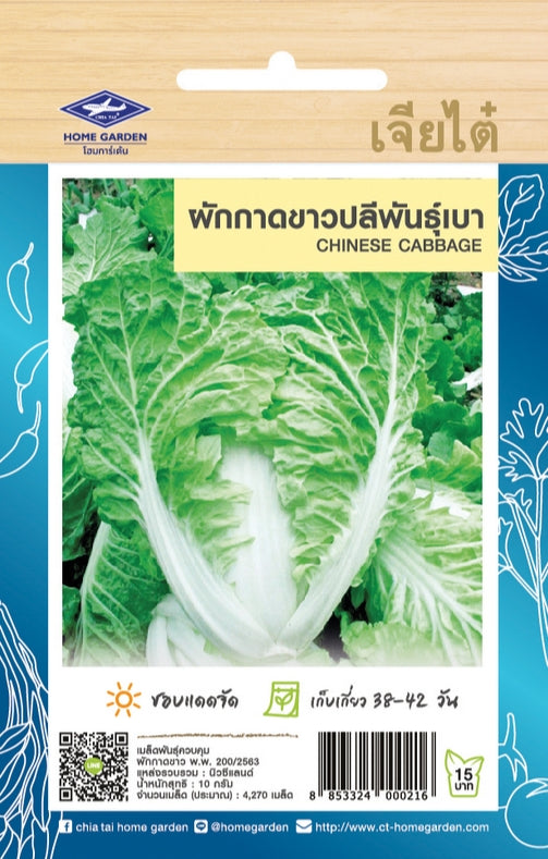 Chia Tai Chinakohl (Frühsorte/Chinese cabbage) Samen -  (เจียไต๋ เมล็ดพันธุ์ผักกาดขาวปลีพันธุ์เบา)